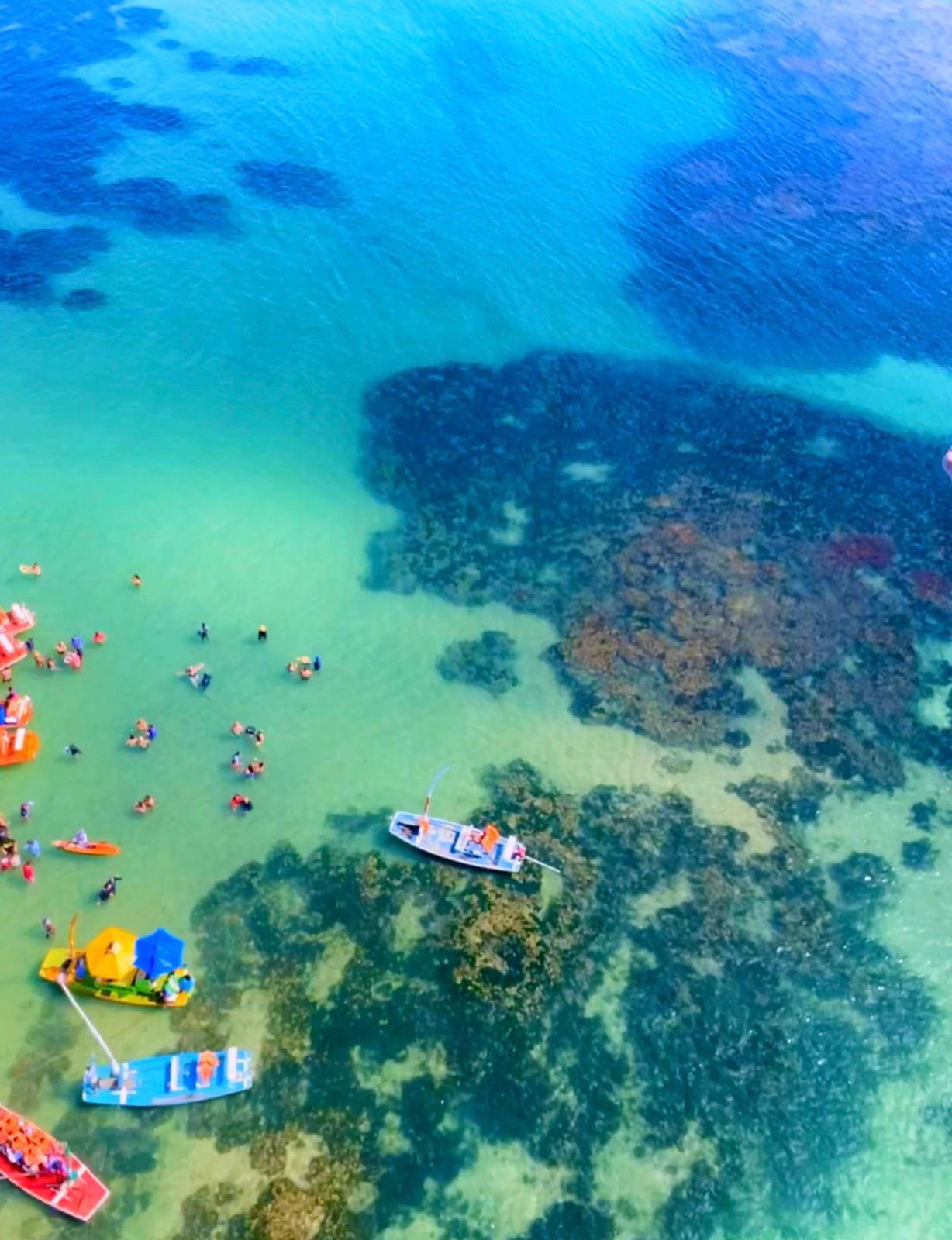 Passeio de Paramotor - Vista do alto das piscina naturais de Pajuçara/Maceio